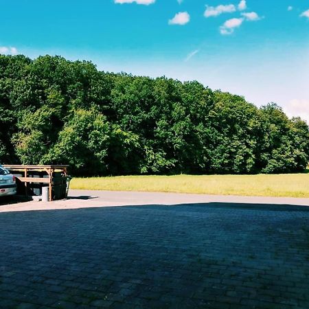 Апартаменты 76 Qm Whg Im Eg Haus-Wohlfuehloase Vor Der Haustuer Gladenbach Экстерьер фото